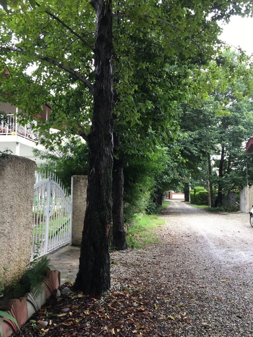 اجاره ویلا باغ دنج نیکوکار