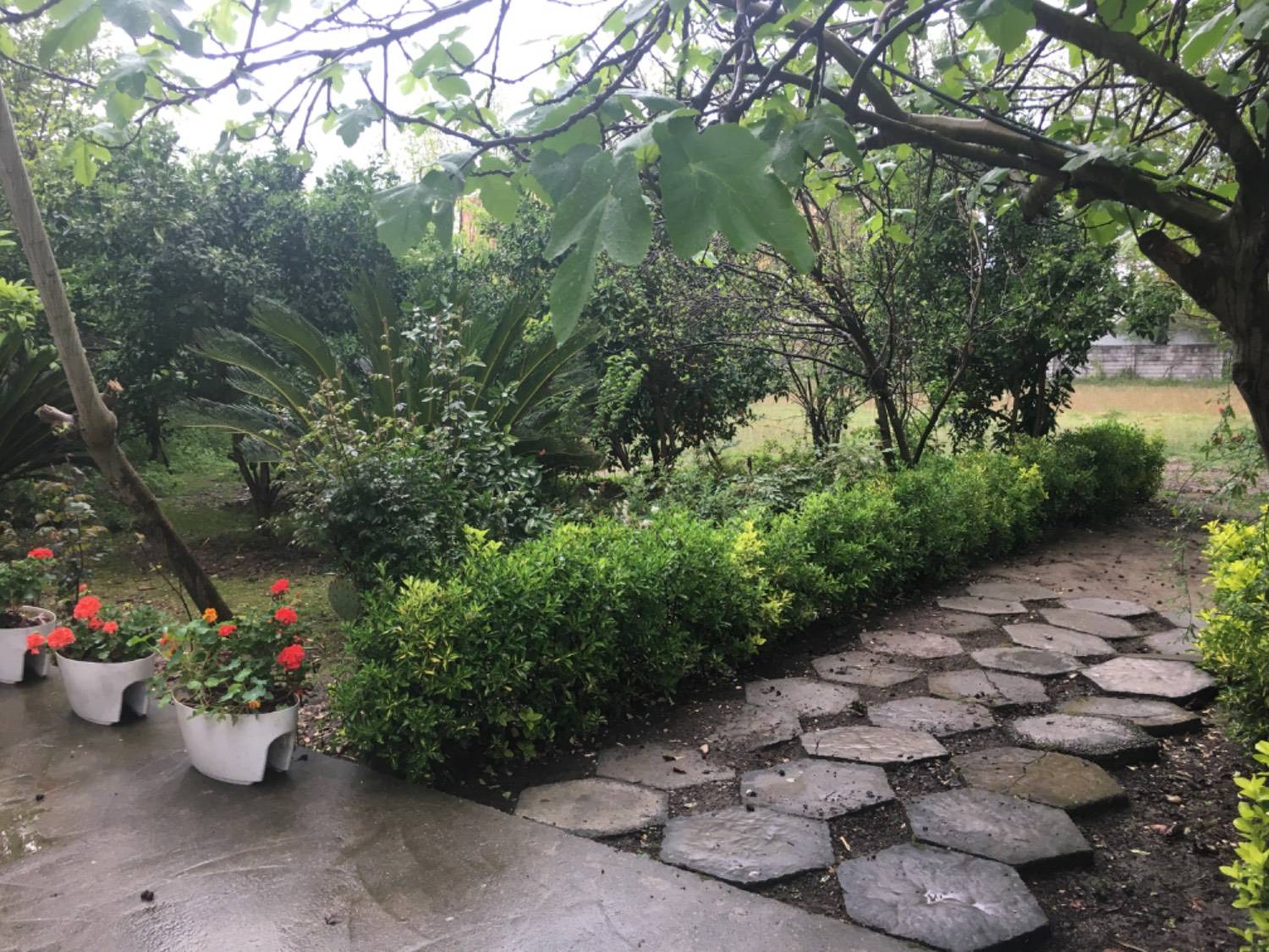 اجاره ویلا باغ دنج چالوس