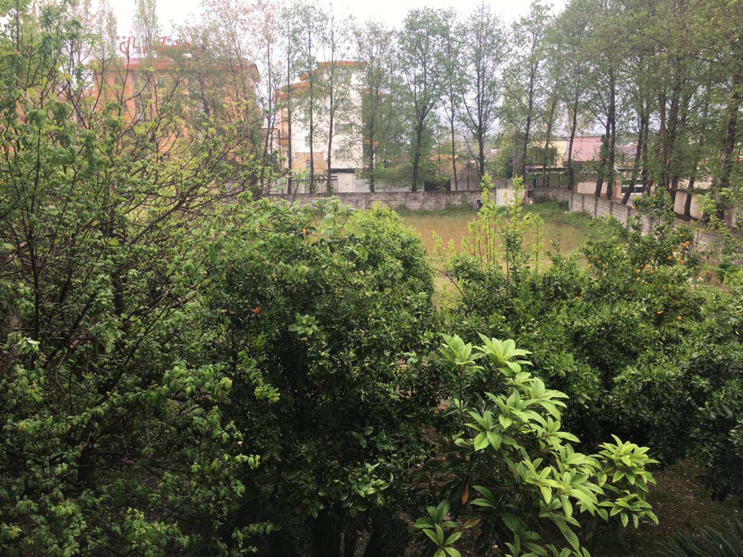 اجاره ویلا باغ دنج چالوس